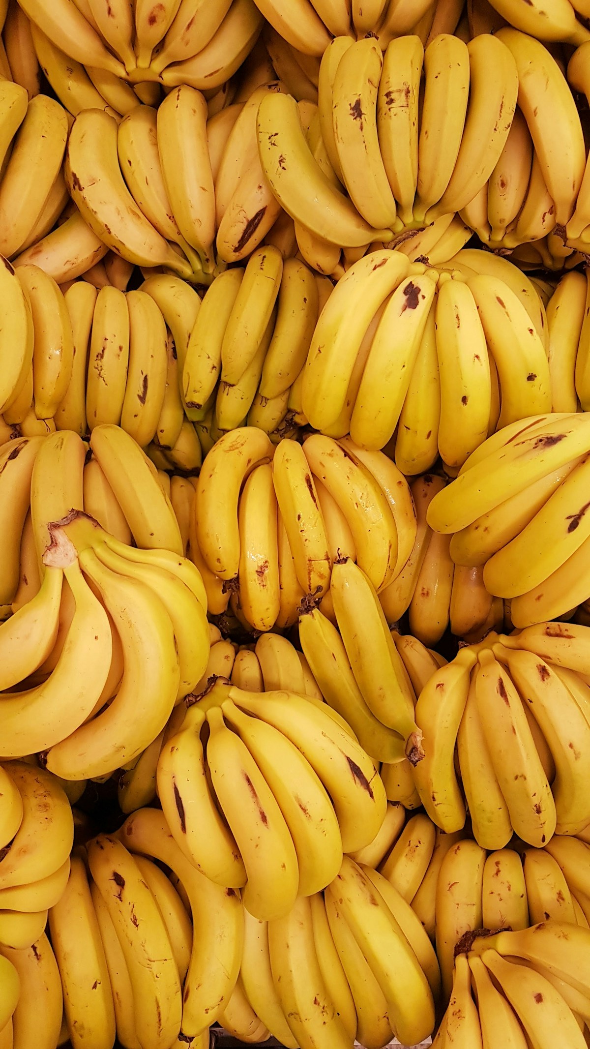 African Pineapples (MD II), Bananas, Coconuts, Papaya, Dried Fruits, Yam & Natural Honey - Gallery Image 2